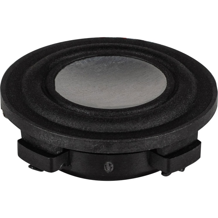 Tang Band W1-2361S 1